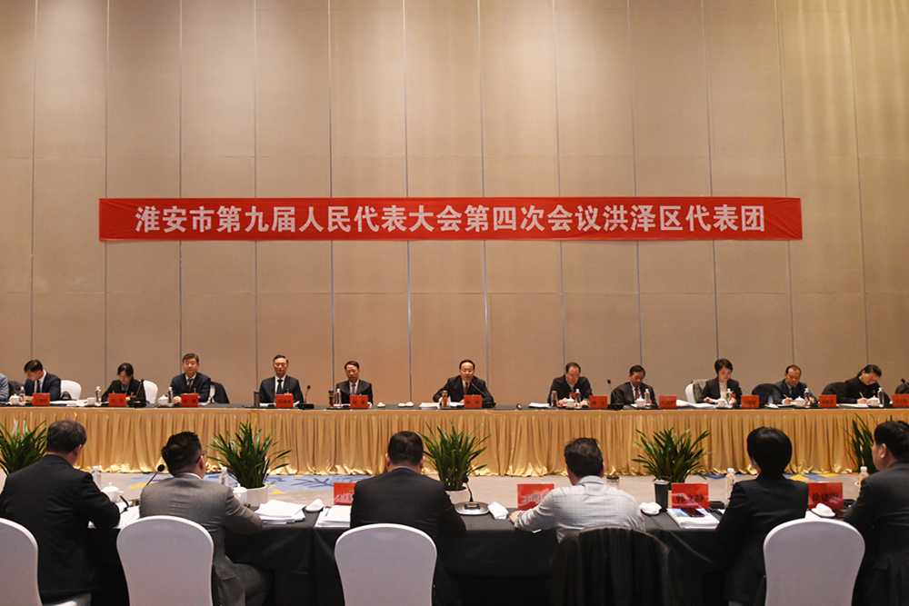 顧坤參加洪澤區代表團審議